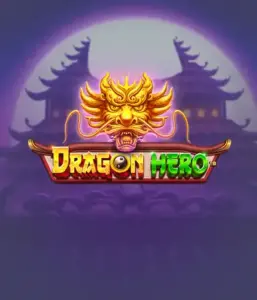 Embark on a mythical quest with Dragon Hero by Pragmatic Play, highlighting breathtaking graphics of ancient dragons and epic encounters. Discover a realm where legend meets thrill, with featuring treasures, mystical creatures, and enchanted weapons for a captivating adventure.