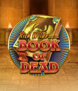 Enter the thrilling world of Book of Dead Slot by Play'n GO, presenting vivid graphics of Rich Wilde’s adventurous journey through ancient Egyptian tombs and artifacts. Uncover lost riches with engaging mechanics like free spins, expanding symbols, and a gamble option. Ideal for those seeking adventure with a desire for exciting finds.