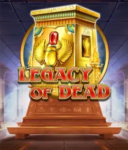 Try  Legacy of Dead slot by Play'n GO with free spins and expanding symbols, starting at bets from $0.10.